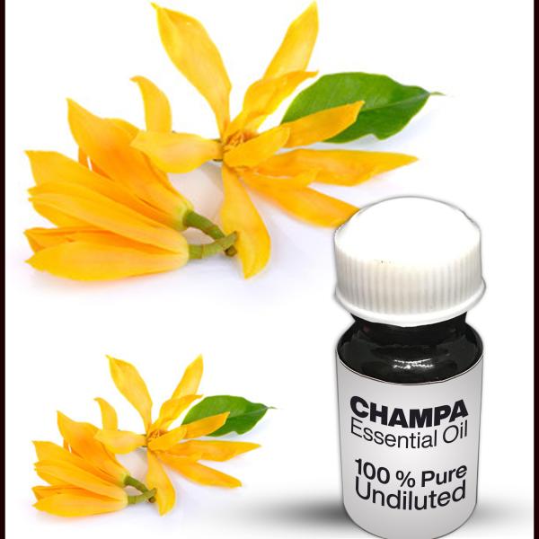 Champa Essential Oil