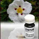 Cistus Essential Oil