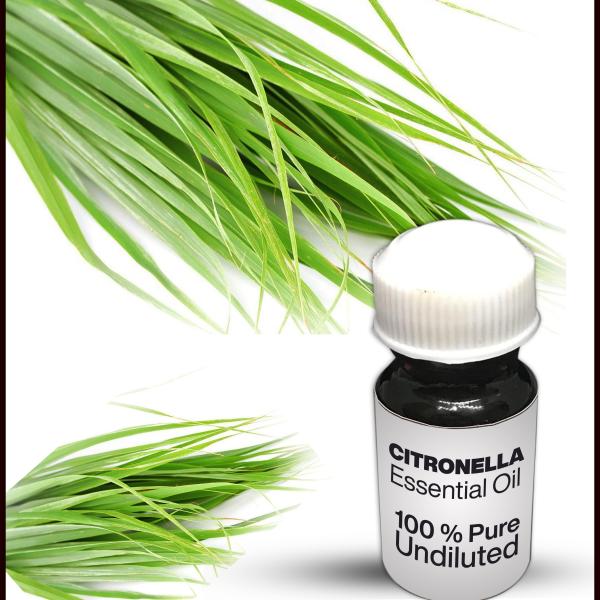 Citronella Essential Oil
