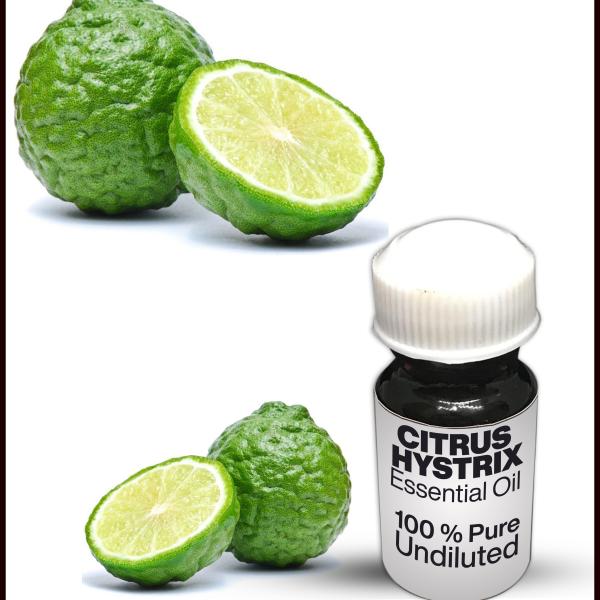 Citrus Hystrix Essential Oil