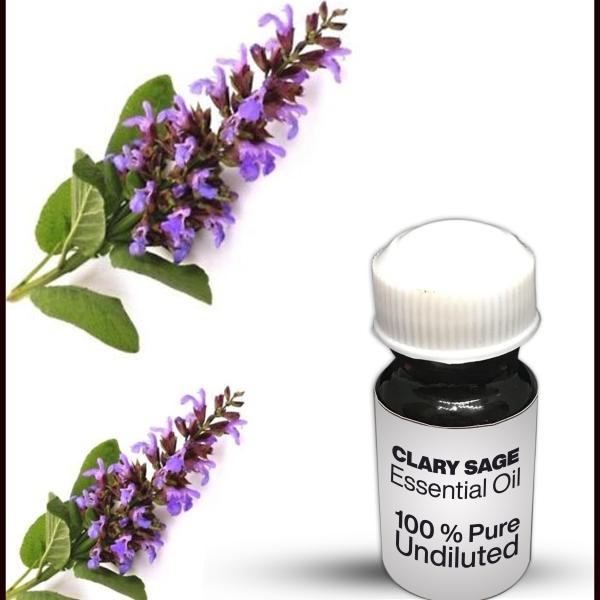 Clary Sage Essential Oil