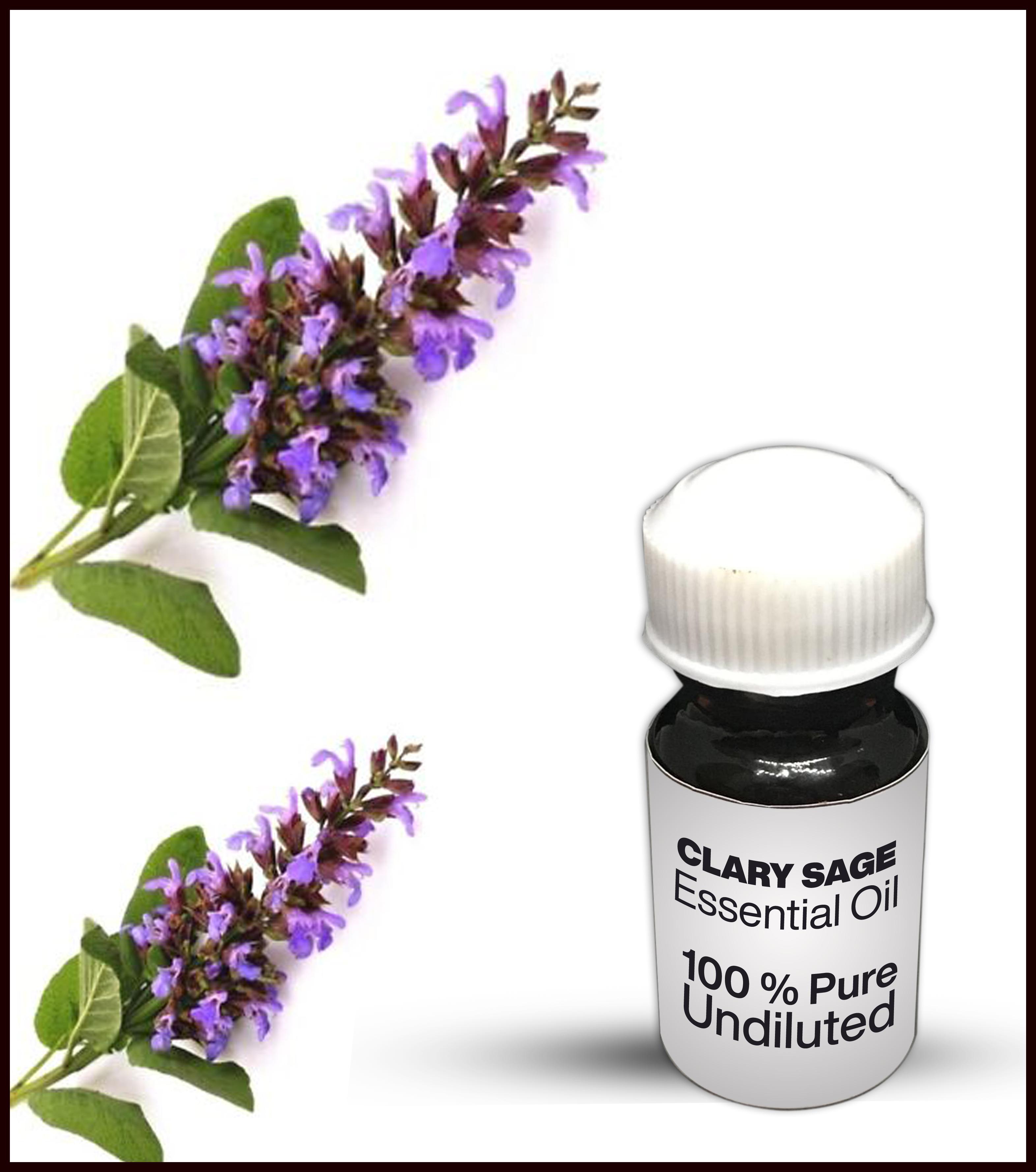 Clary Sage Essential Oil