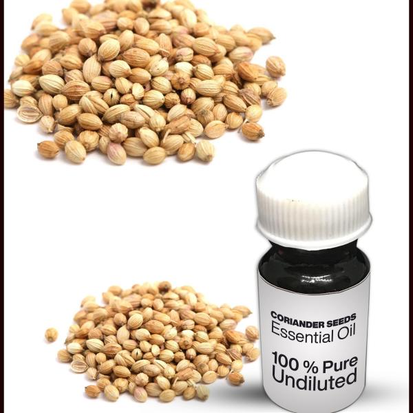 Coriander Seeds Essential Oil