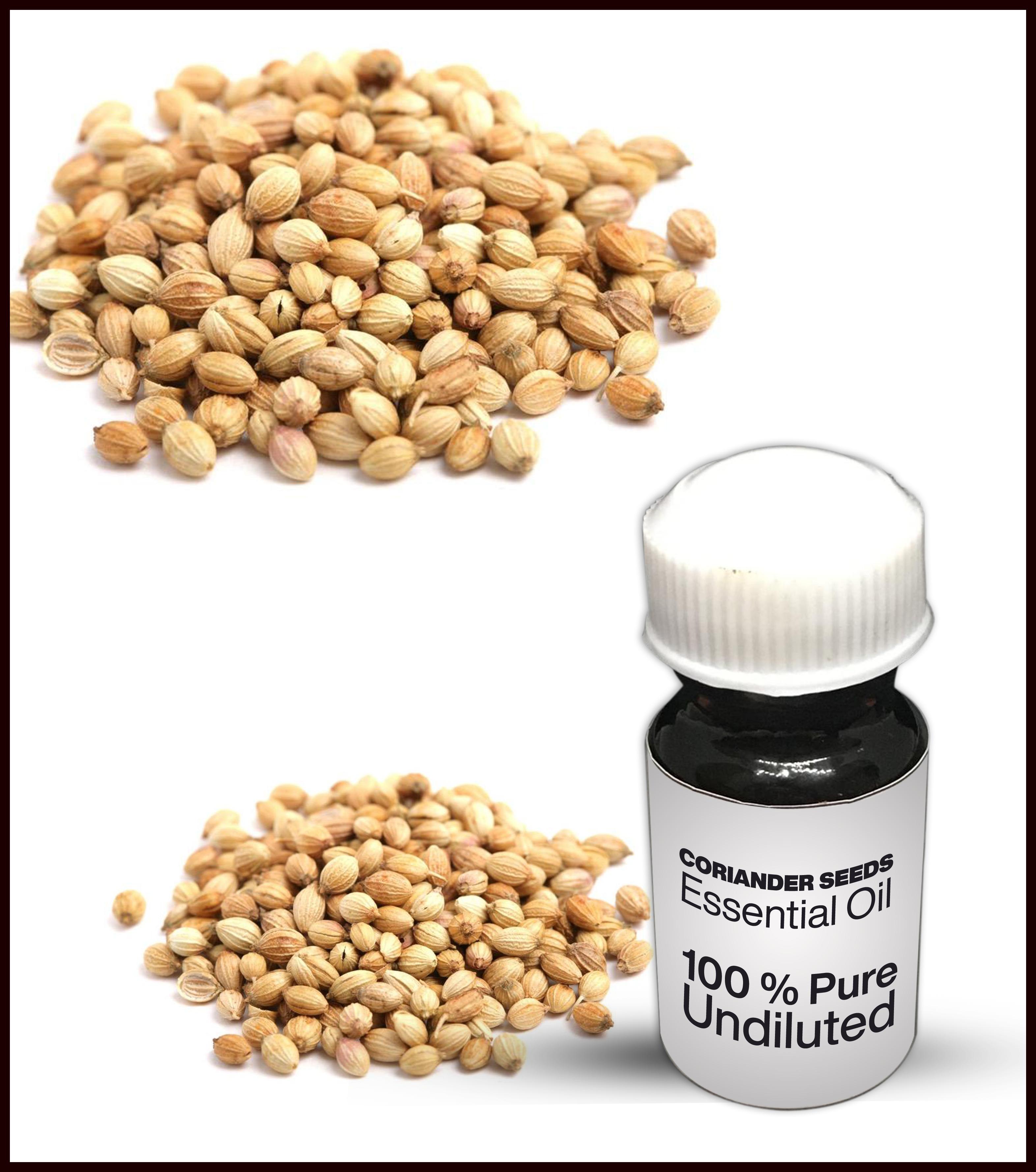 Coriander Seeds Essential Oil