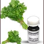 Coriander Essential Oil