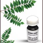 Curry Leaf Essential Oil