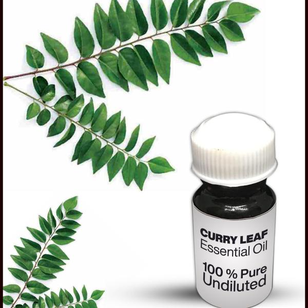 Curry Leaf Essential Oil