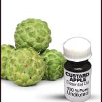 Custard Apple Essential Oil
