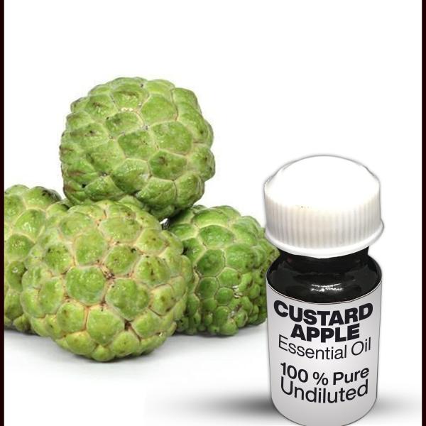 Custard Apple Essential Oil