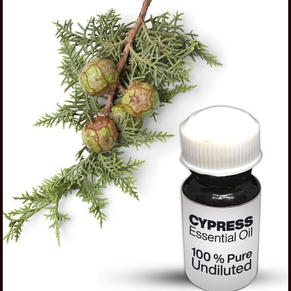 Cypress Essential Oil
