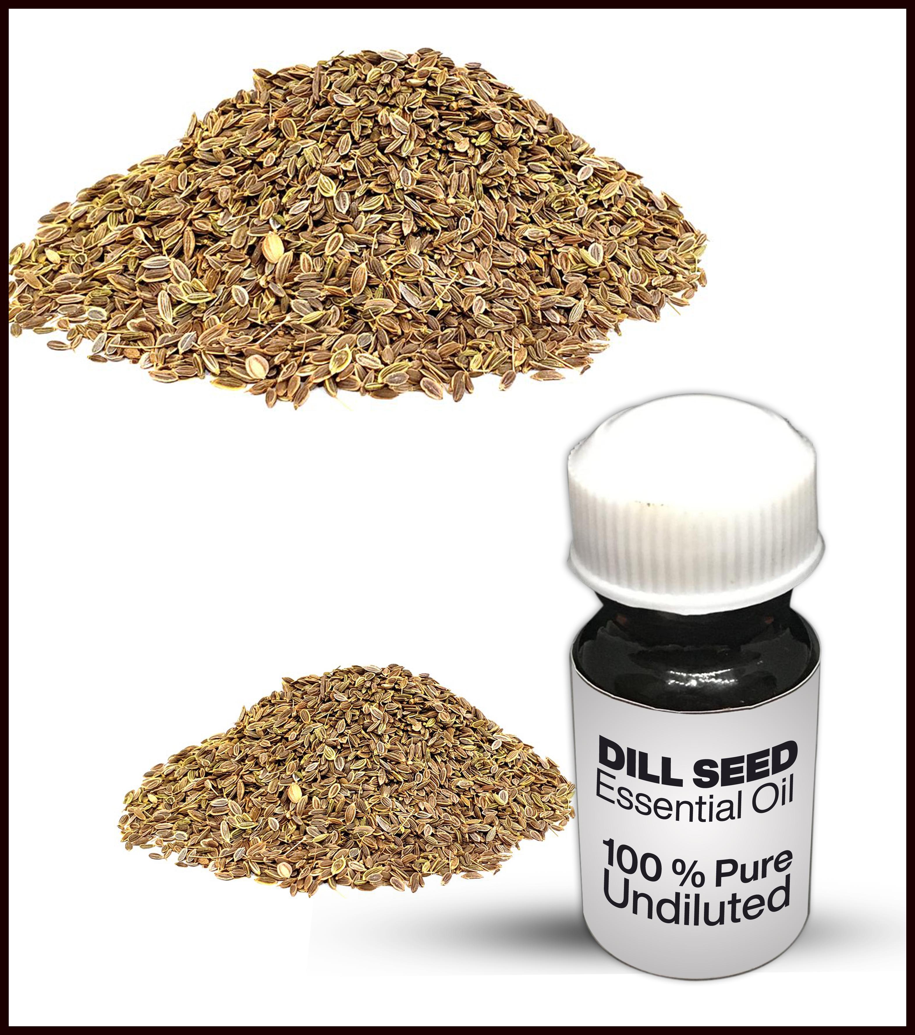 Dill Seed Essential Oil