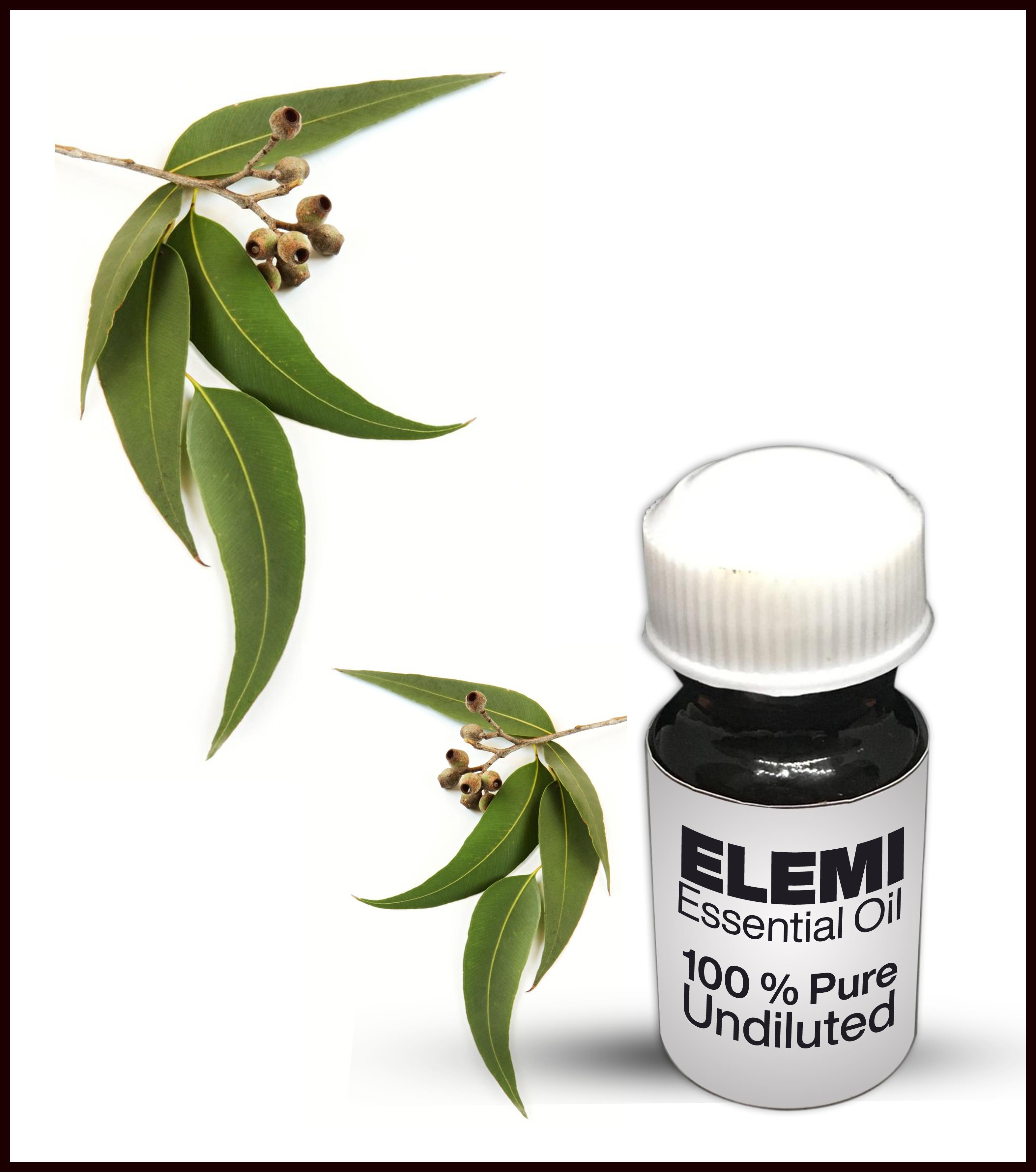 Elemi Essential Oil