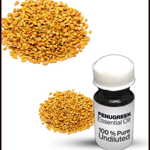 Fenugreek Essential Oil