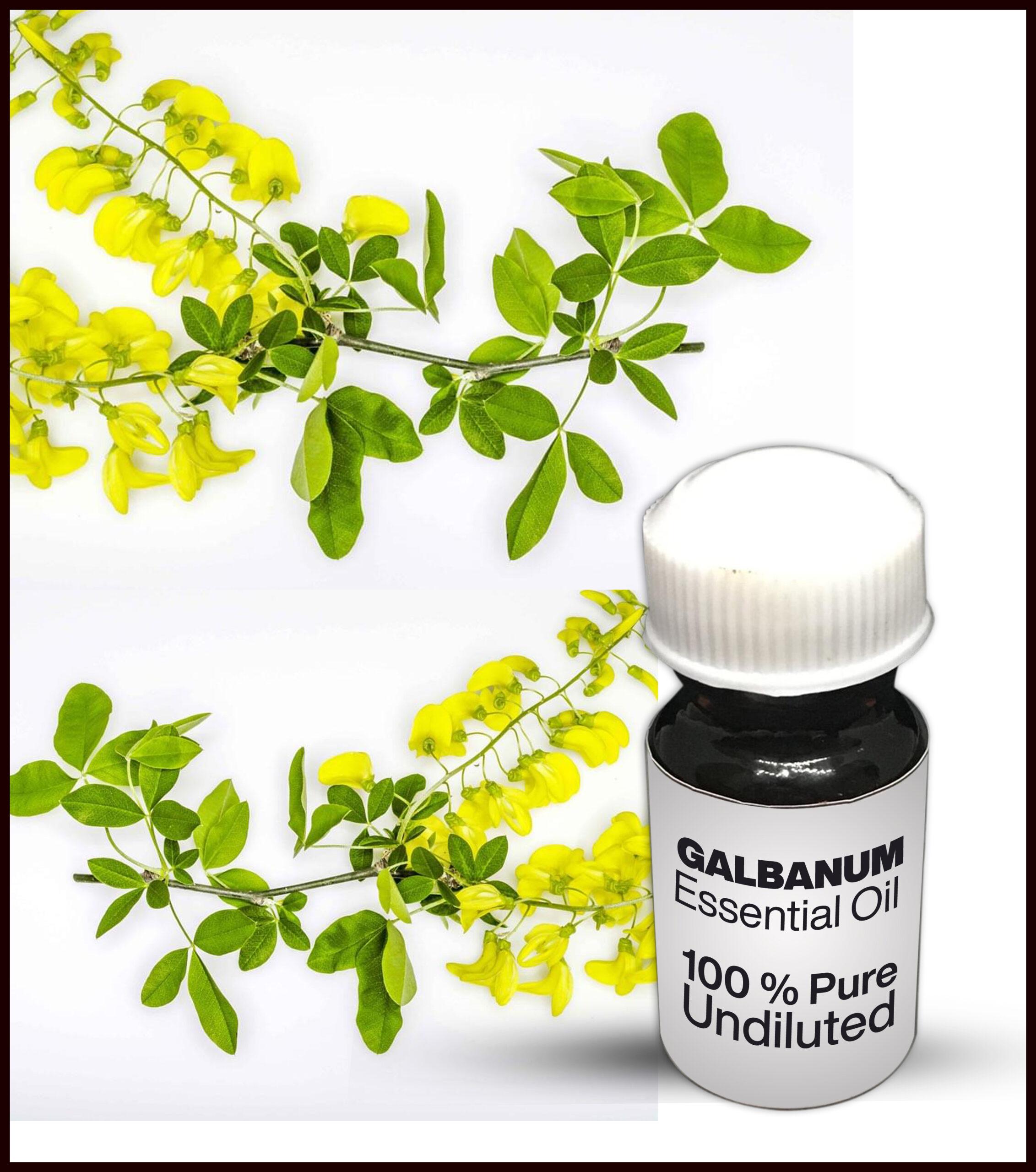 Galbanum Essential Oil