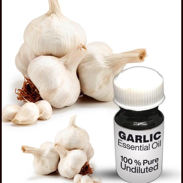 Garlic Essential Oil