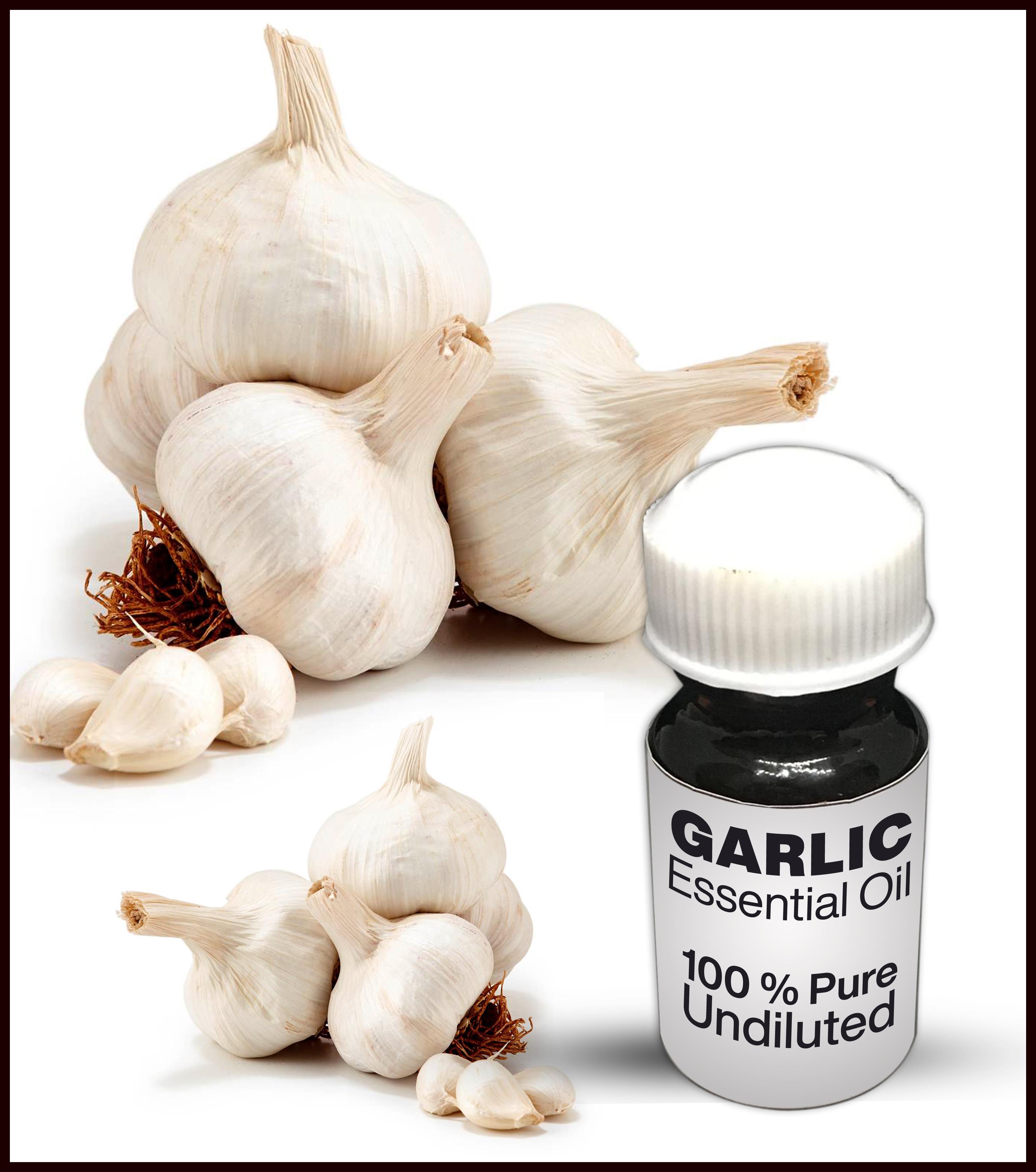 Garlic Essential Oil