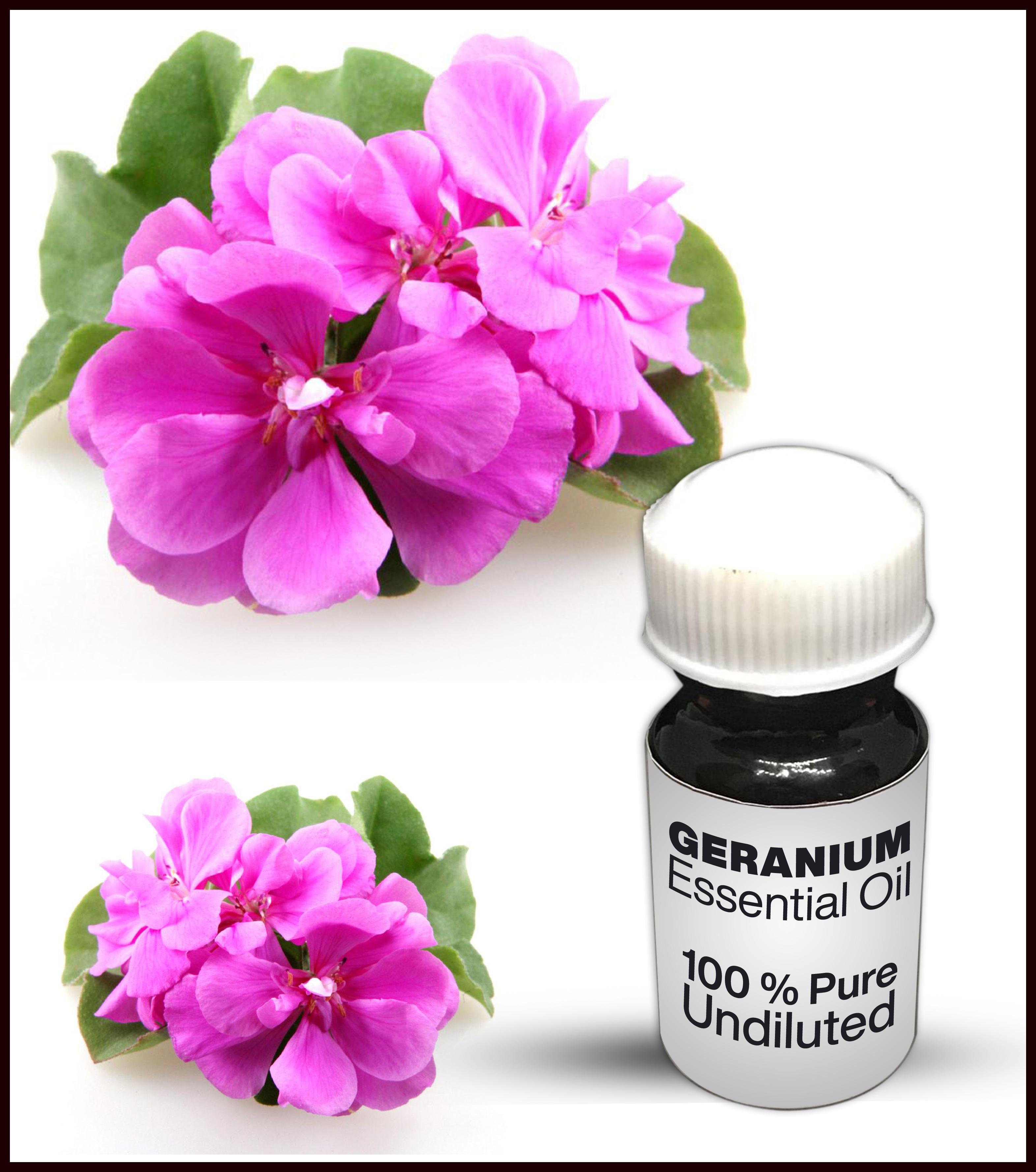 Geranium Essential Oil