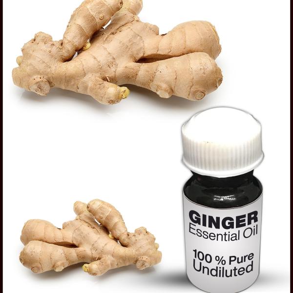 Ginger Essential Oil