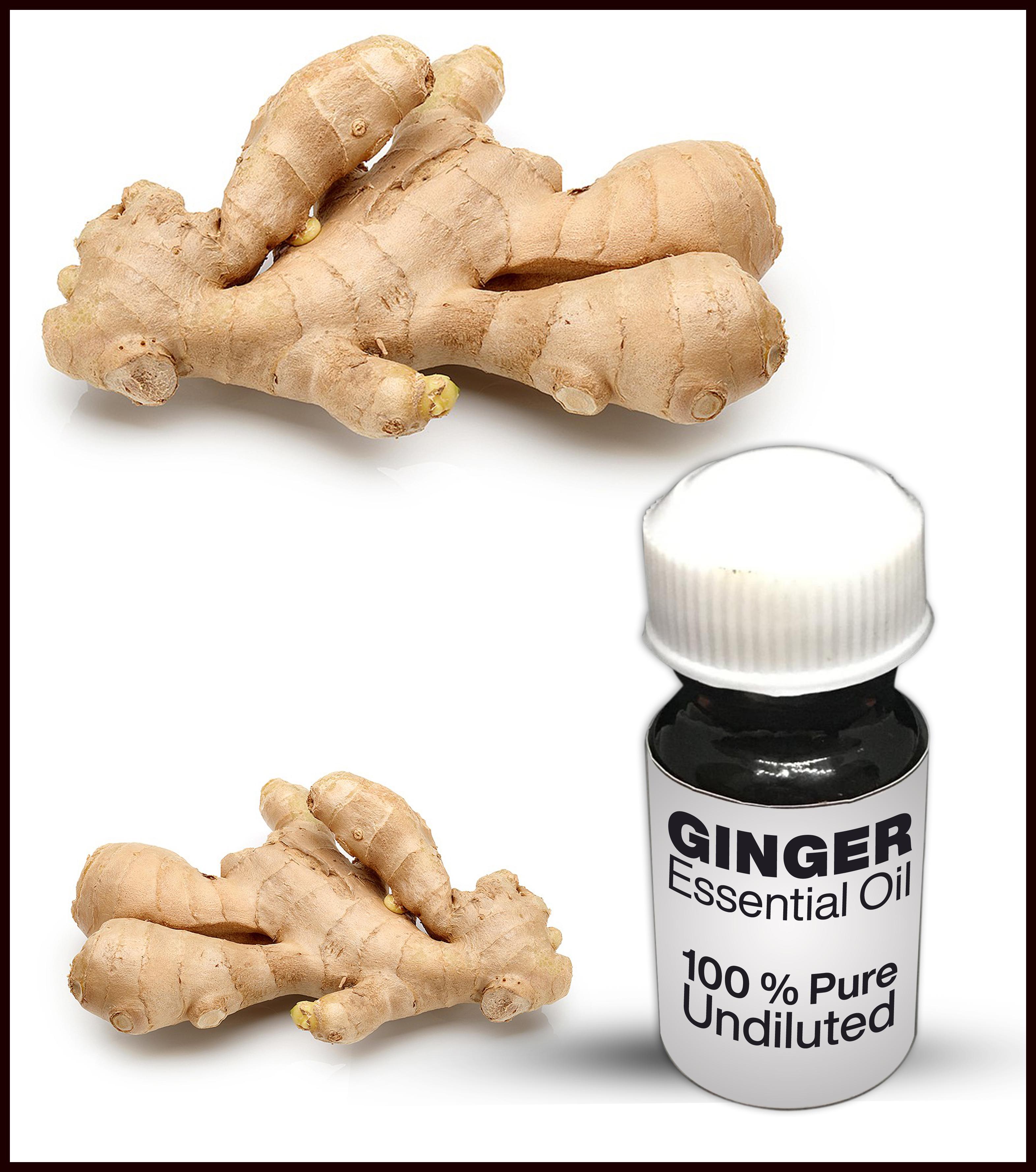 Ginger Essential Oil