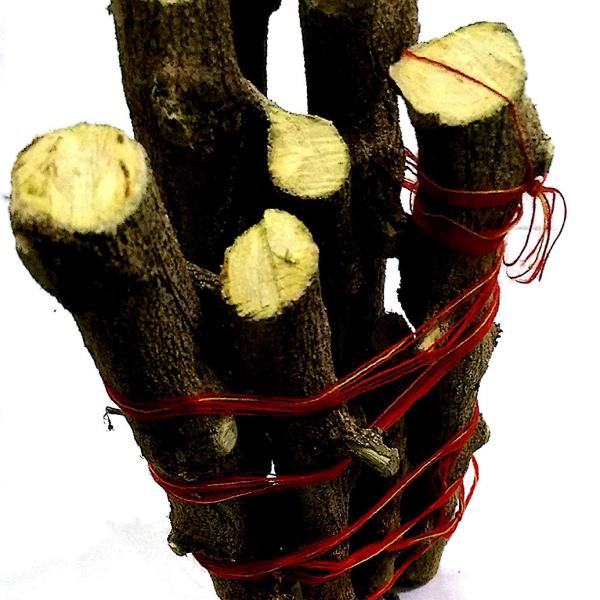 Shami Wood For Shani Planet (Saturn)