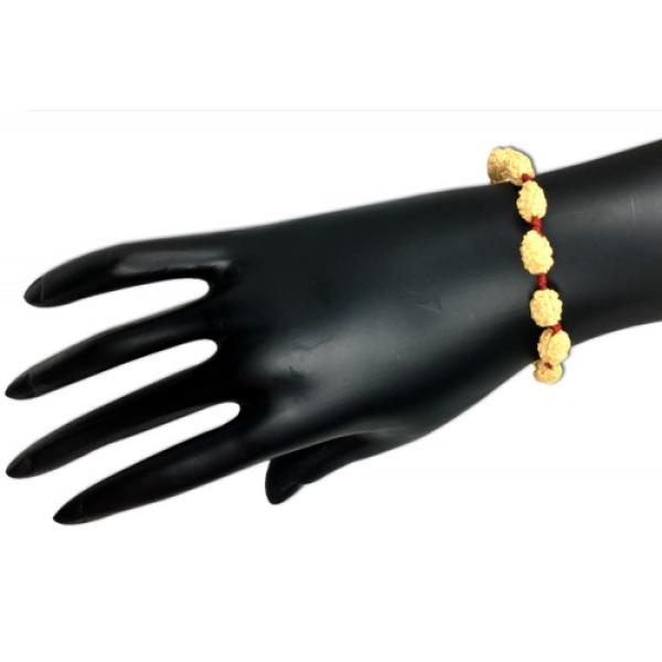 2 Mukhi Indonesian Thread Adjustable Bracelet