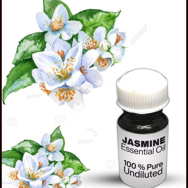 Jasmine Essential Oil
