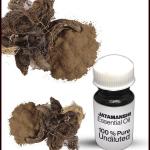 Jatamanshi Essential Oil