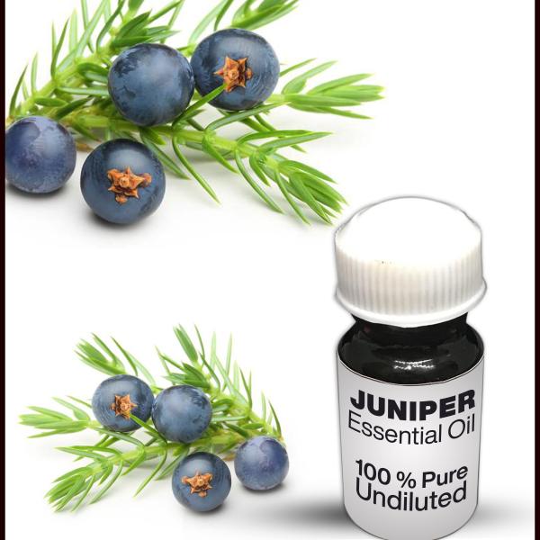 Juniper Essential Oil