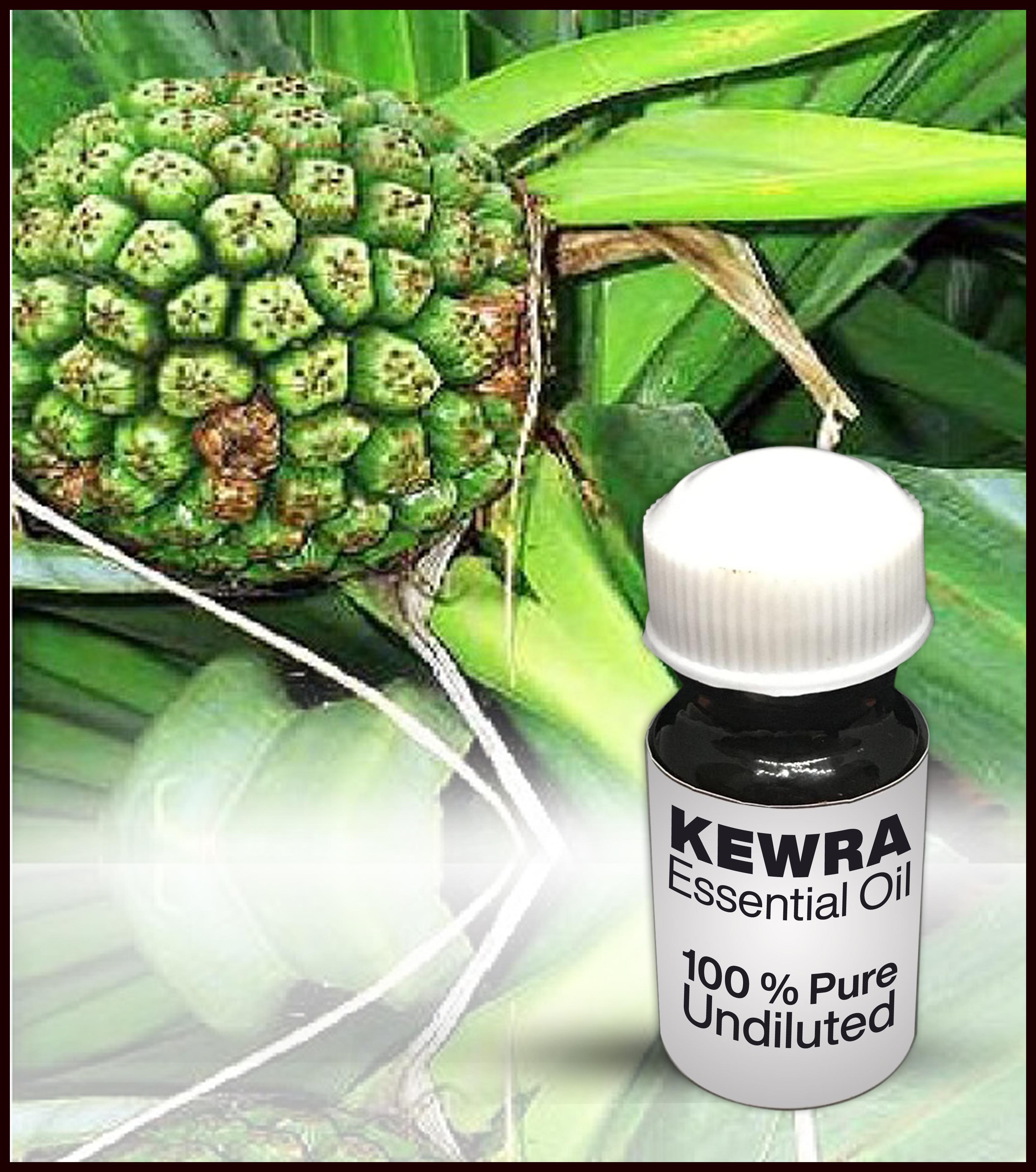 Kewra Essential Oil