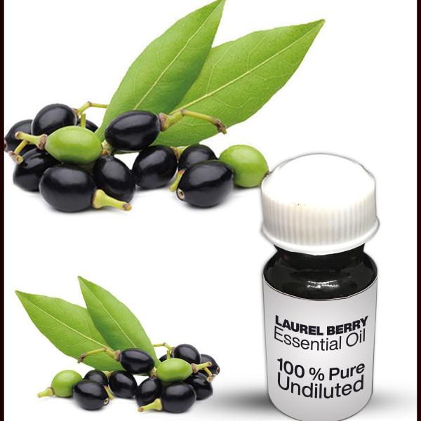 Laurel Berry Essential Oil