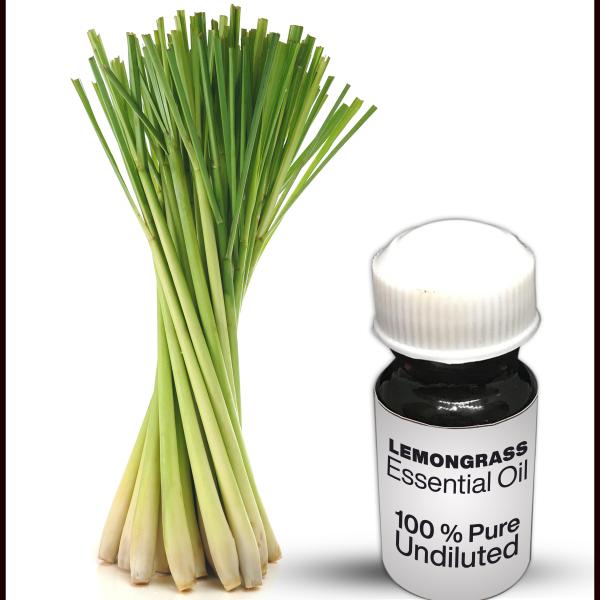 Lemongrass Essential Oil