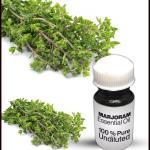 Marjoram Essential Oil