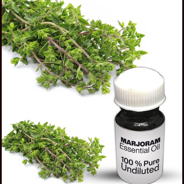 Marjoram Essential Oil