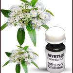 Myrtle Essential Oil
