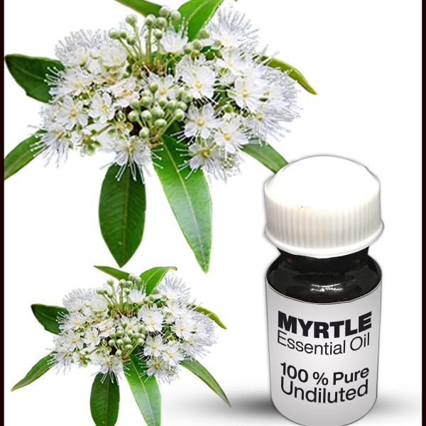 Myrtle Essential Oil