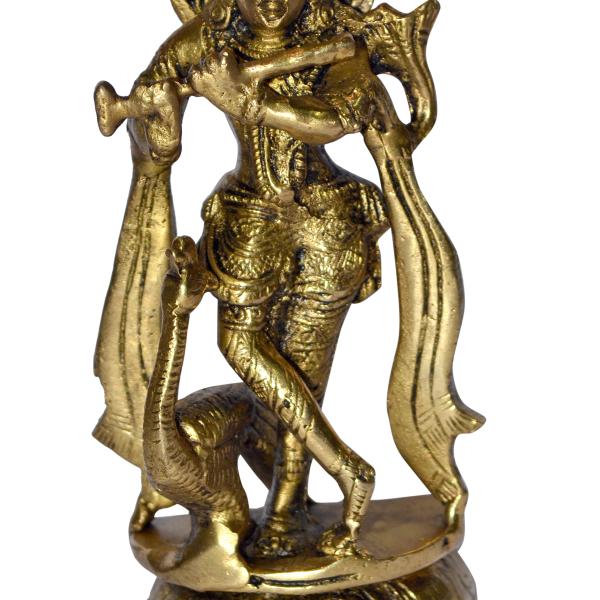 Kirshna Idol