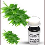 Neem Leaves Essential Oil