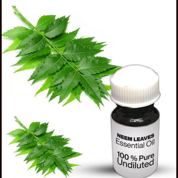 Neem Leaves Essential Oil