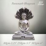 Parshvanath Idol In Pure 925 Silver (1)