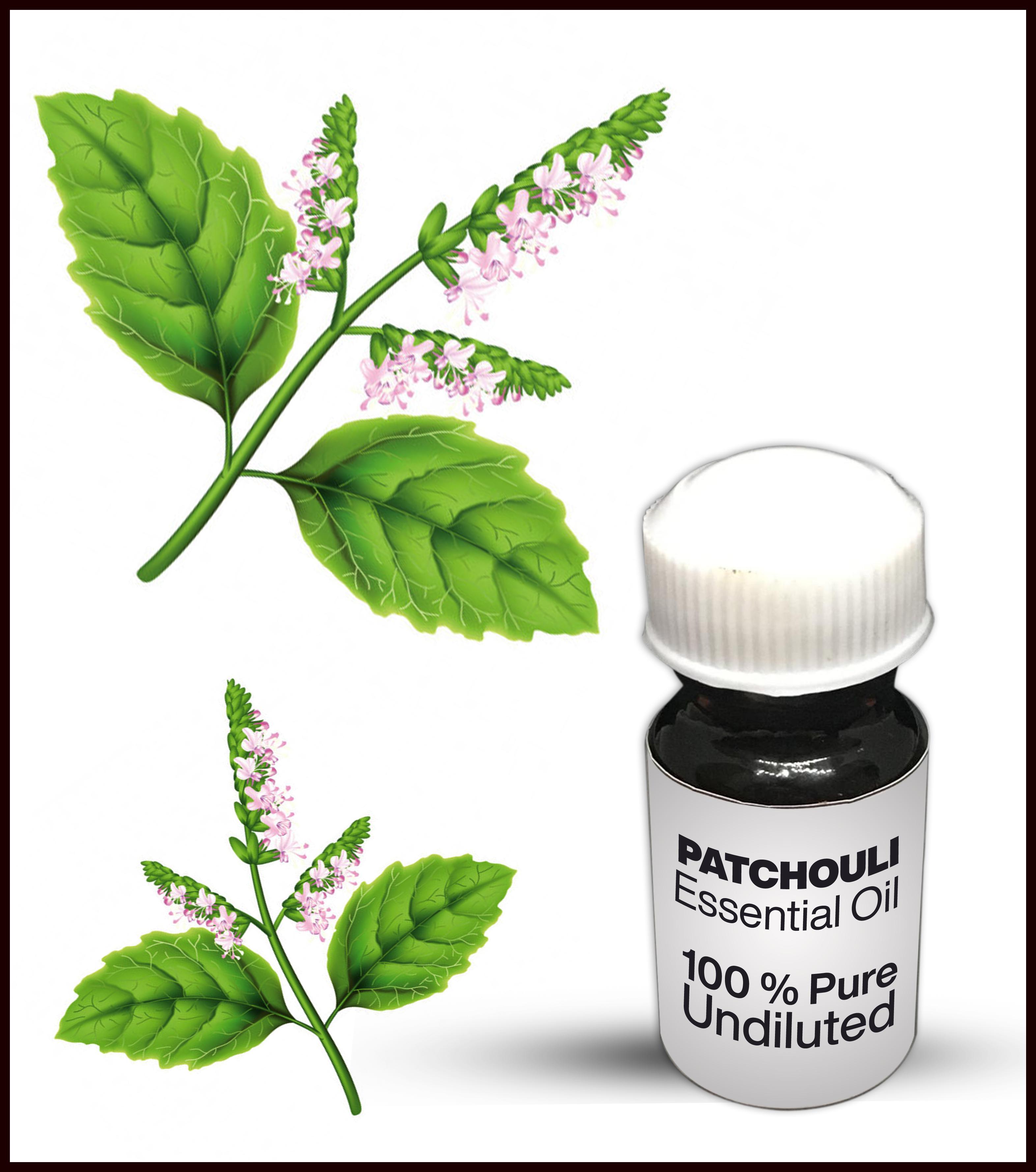 Patchouli Attar