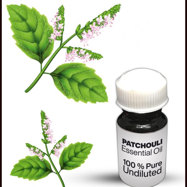 Patchouli Essential Oil