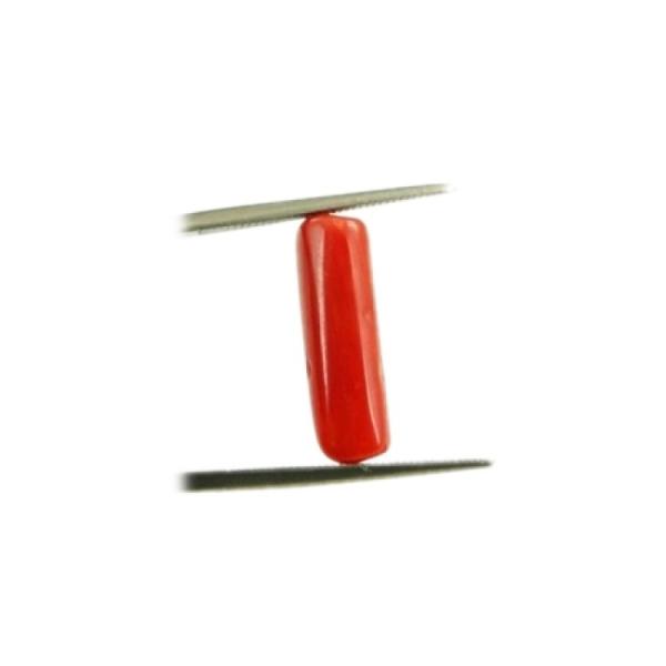 Natural Red Italian Coral 3-4 Carats
