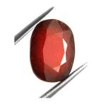 Natural Gomedh 8-9 Carats Oval