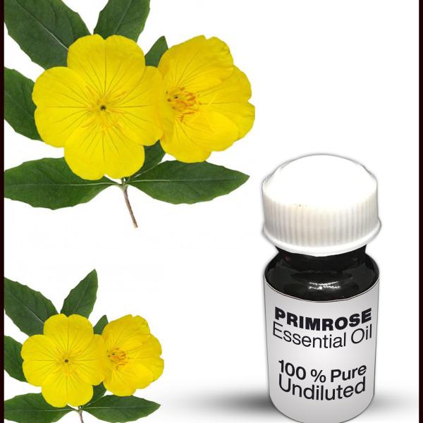 Primrose Essential Oil