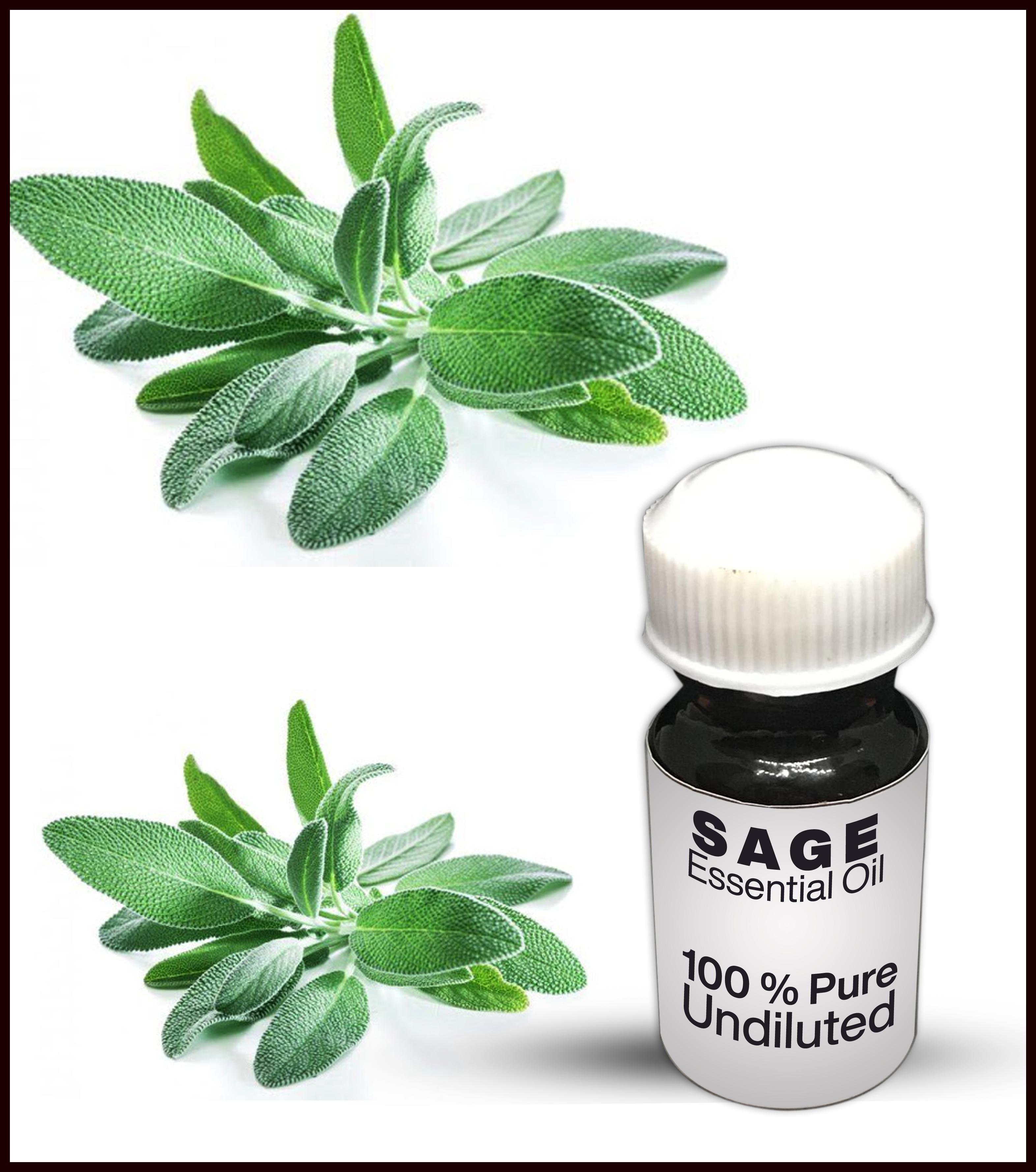 Sage Essential Oil