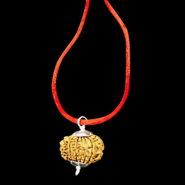 14 Mukhi Nepal Rudraksha In Pure Silver Pendant