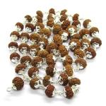 8 Mukhi Indonesian Rudraksha Mala 54 Beads In Silver (10mm-11mm)