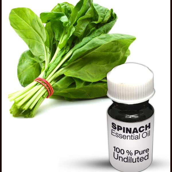 Spinach Essential Oil