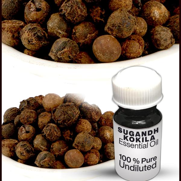 Sugandh Kokila Essential Oil