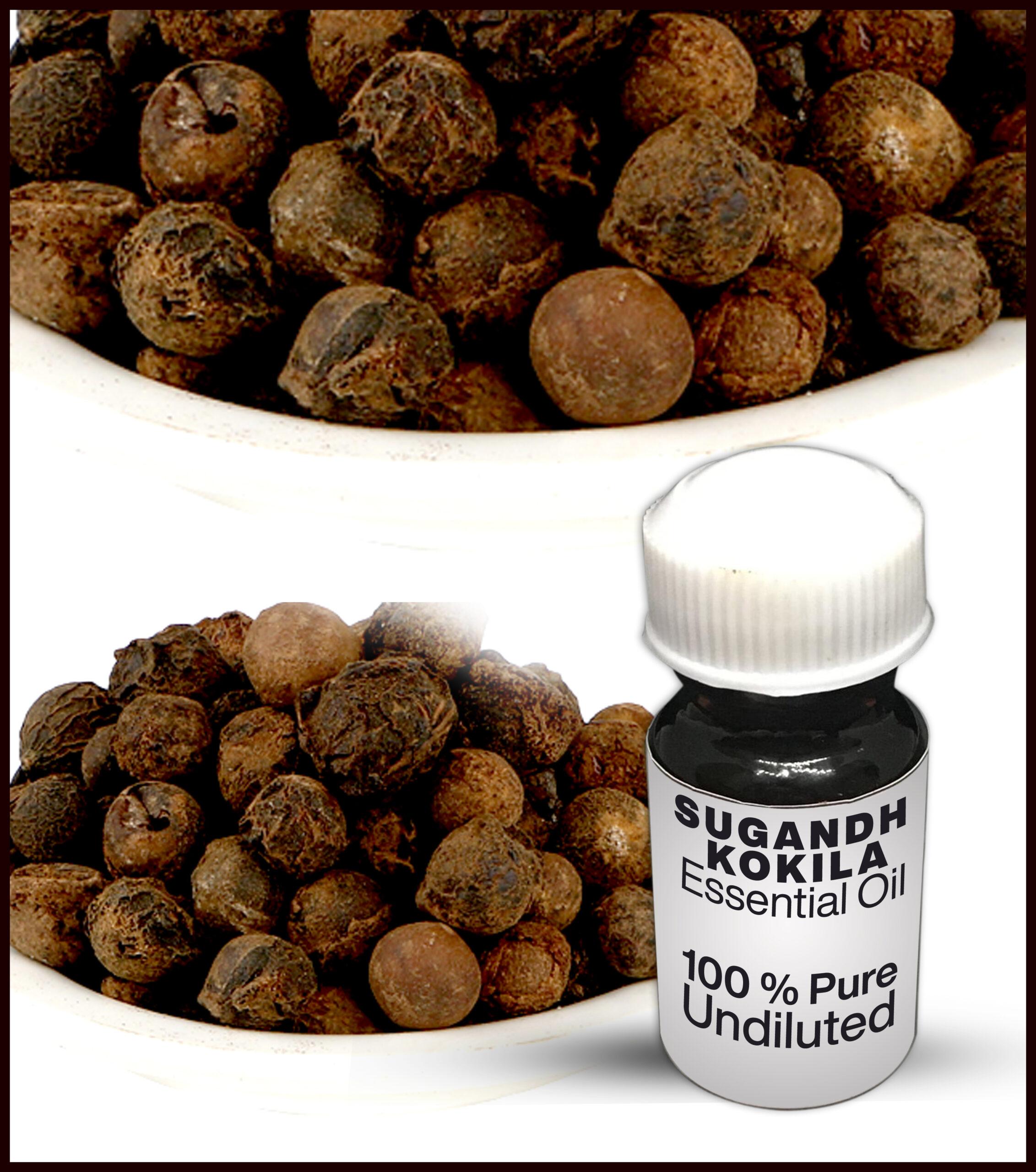 Sugandh Kokila Essential Oil